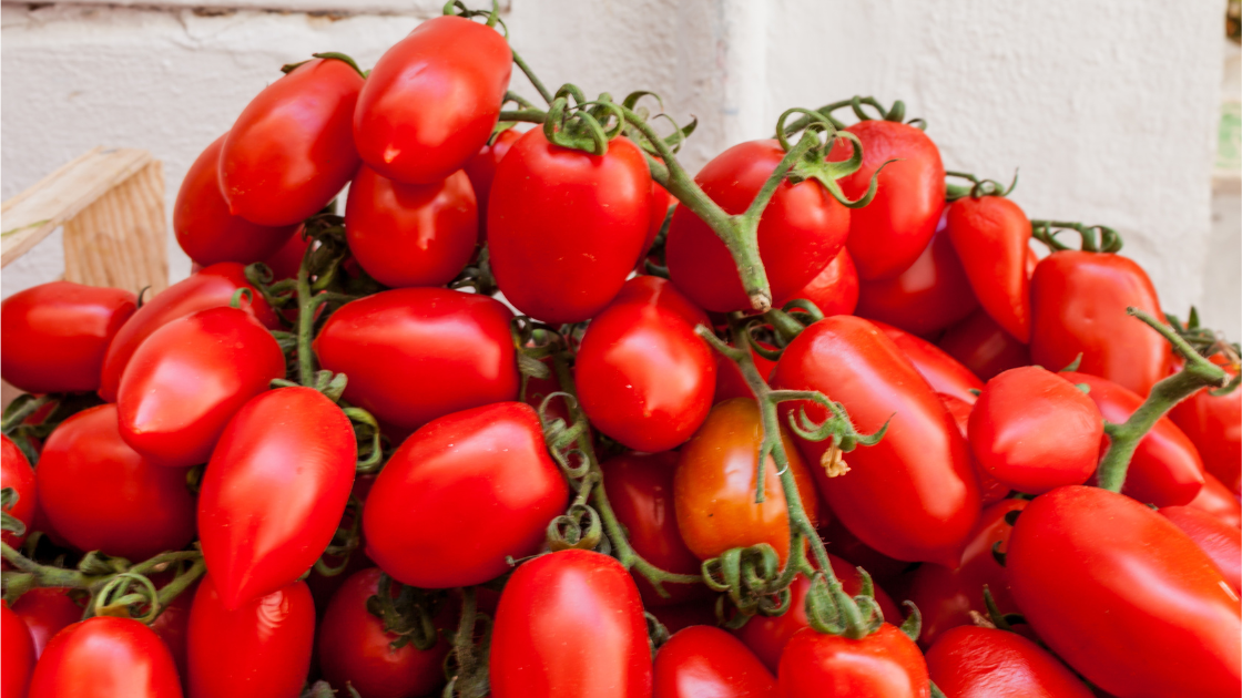 San Marzano Tomatoes. What are they?